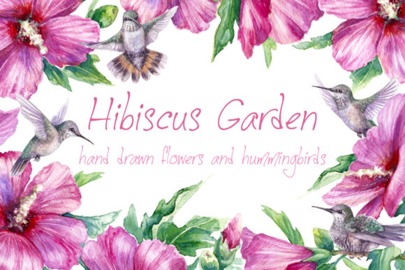 Discover the Beauty of Hibiscus Garden in Watercolor