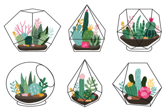 Exploring the Versatility of Terrarium Plants for Creative Projects