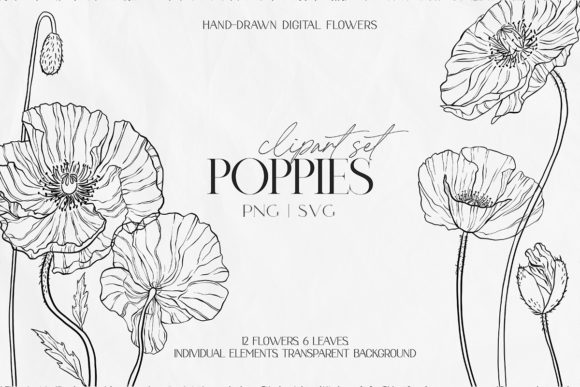 Line Poppy Clipart: Perfect for Creative Projects