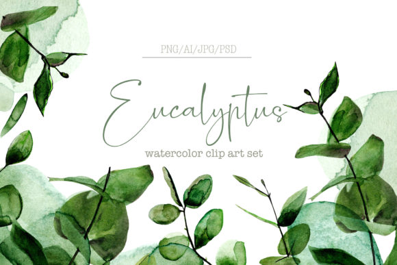 The Eucalyptus Watercolor Set: Handcrafted Elegance for Modern Design