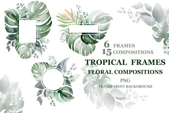 Tropical Flowers and Frames: A Versatile Design Set